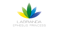 67a1cf7ad9e0d-mp-10-png